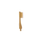 tte_brosse_a_dent_adulte