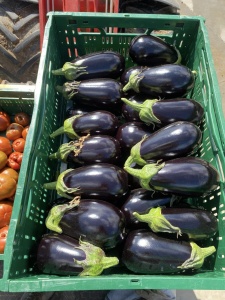 aubergines caisse