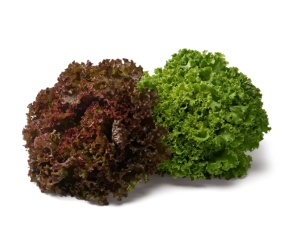 batavia verte rouge