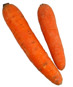 carrottes