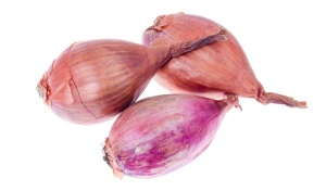 chalottes