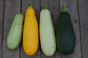 courgettes mlange