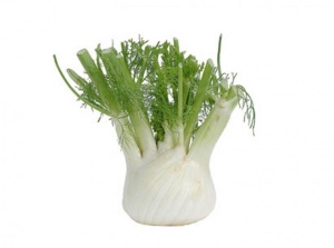 fenouil