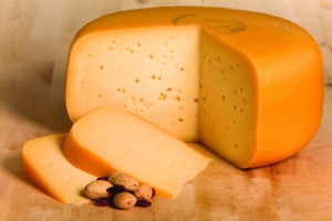 gouda