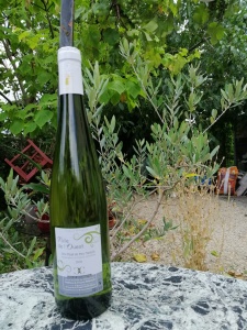 gros plant domaine des cognettes