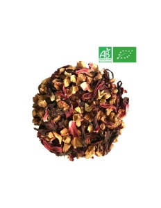 infusion-fruitee-nature-bio-1kg