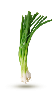 oignon-fins