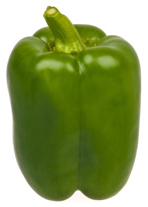 poivron vert