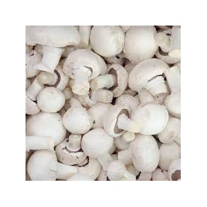 champignon_blc