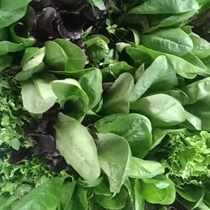 salade mix